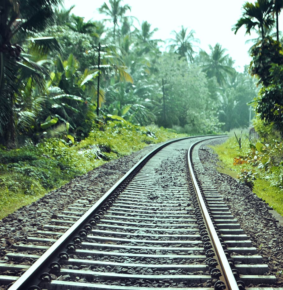 train railway between trees, track, rail transportation, railroad track HD wallpaper