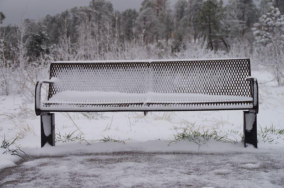 snowy, bench, forest, winter, cold temperature, plant, nature, HD wallpaper