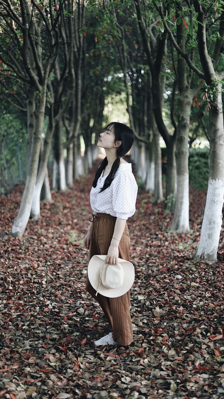 tree, one person, real people, full length, casual clothing HD wallpaper