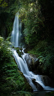 waterfalls between forest, river, outdoors, tree, nature, creek HD wallpaper