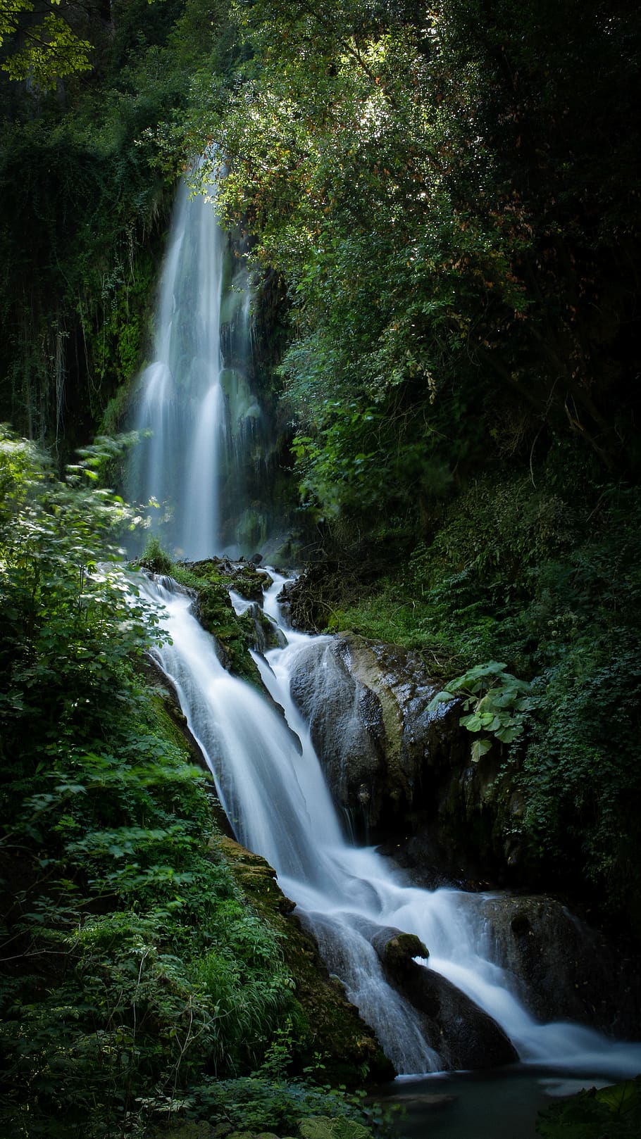 waterfalls between forest, river, outdoors, tree, nature, creek, HD wallpaper