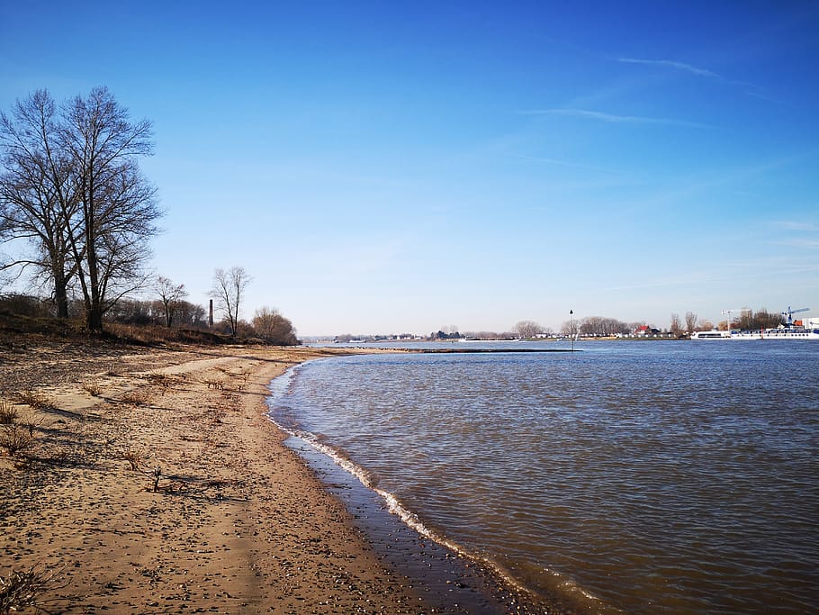 rhine, river, germany, water, panorama, rhine river, sky, tree HD wallpaper