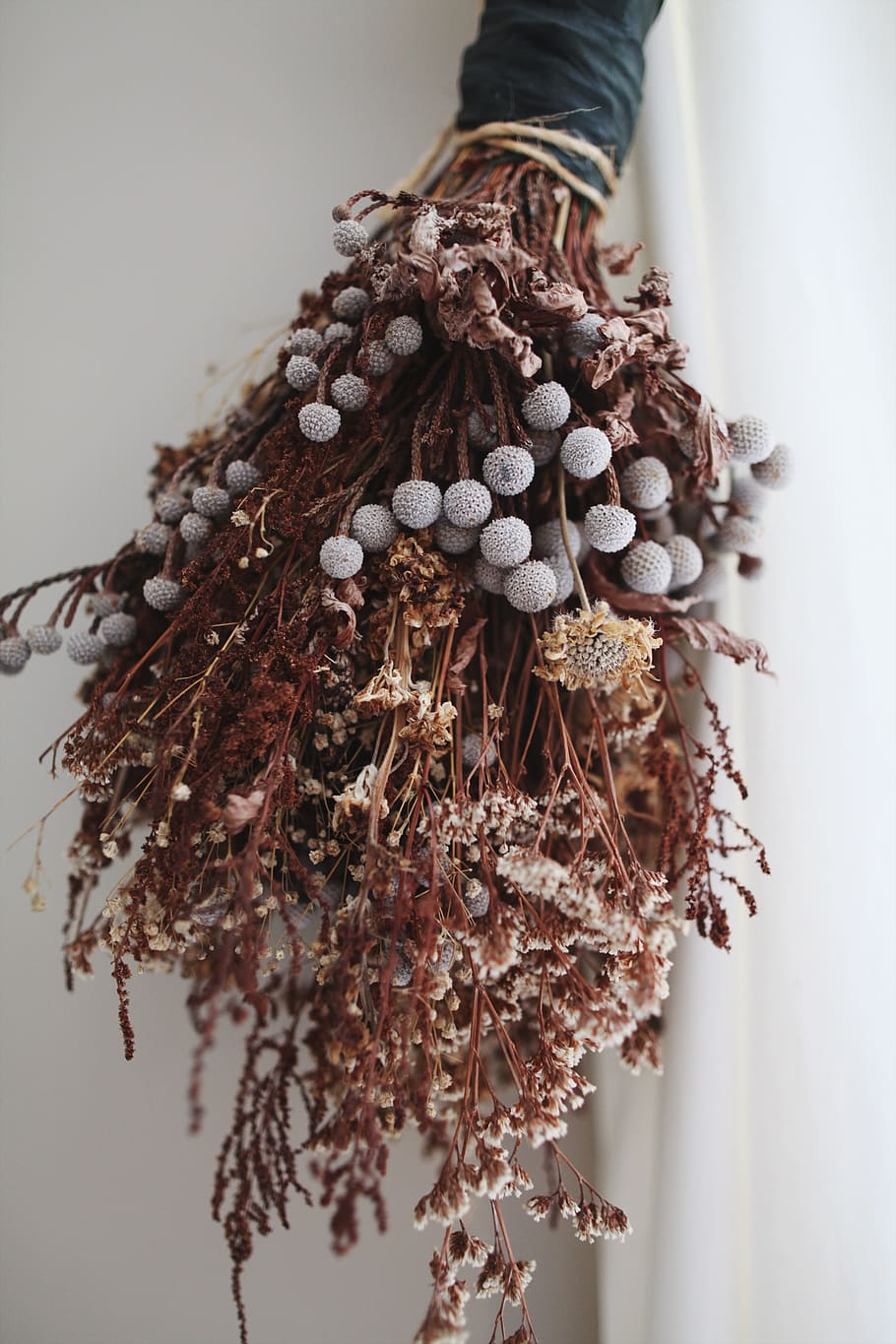 plant, close-up, brown, focus on foreground, one person, hanging HD wallpaper