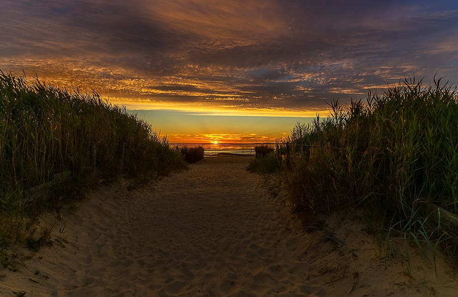 nature, sunset, landscape, evening, sky, dusk, sea, summer HD wallpaper