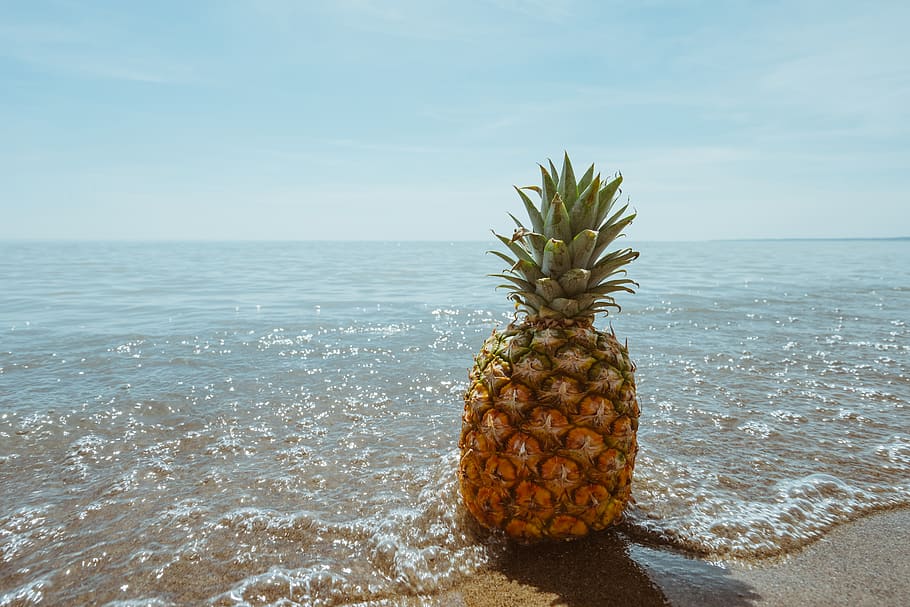 Pine Apple on Beach, fruit, horizon, ocean, pineapple, sand, sea HD wallpaper