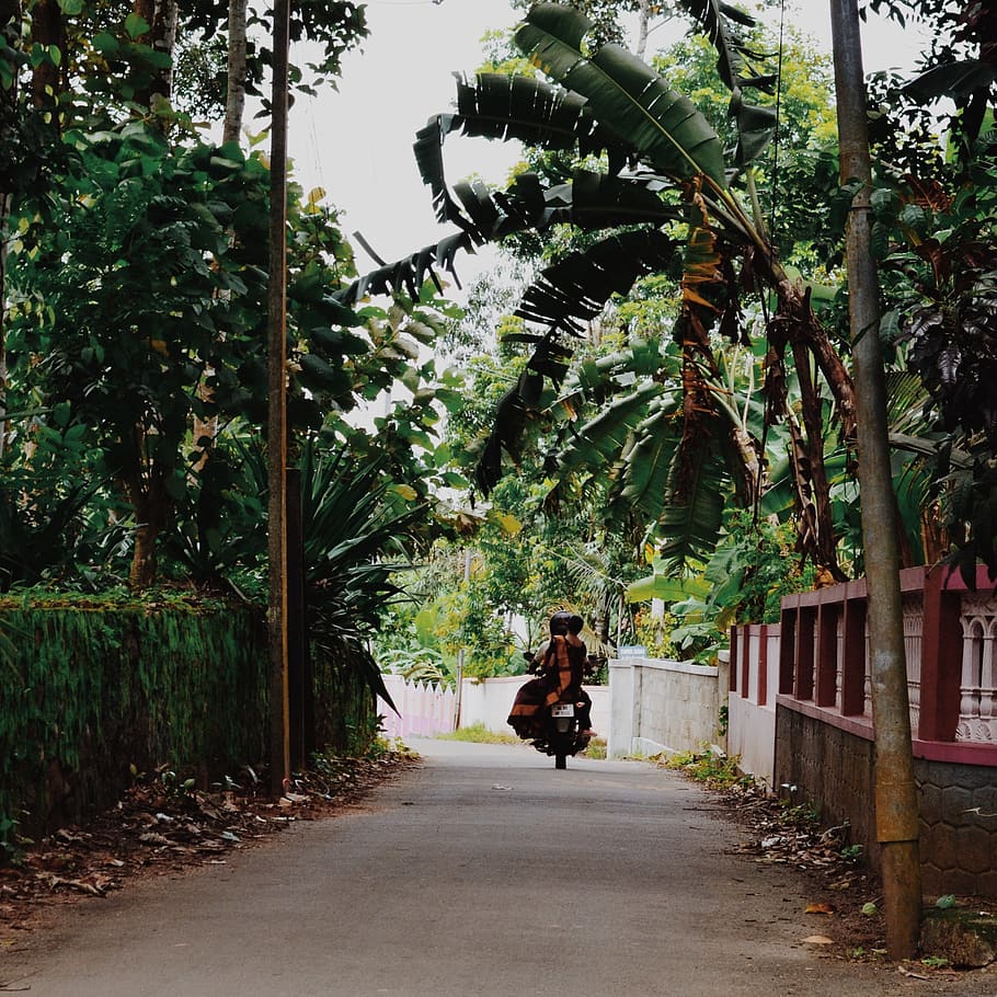india, kerala, sari, forest, rain, motorcycle, trees, road HD wallpaper