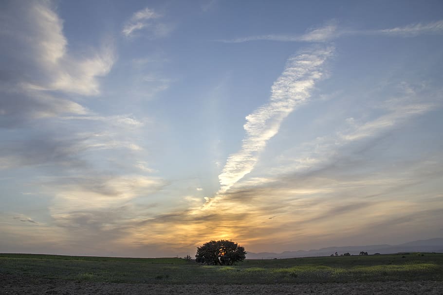 trees, clouds, sunset, landscape, sky, cloud - sky, beauty in nature HD wallpaper