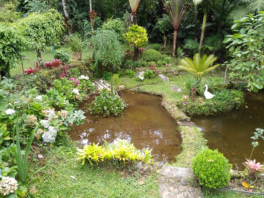 outdoors, water, nature, garden, arbour, nova friburgo, brazil