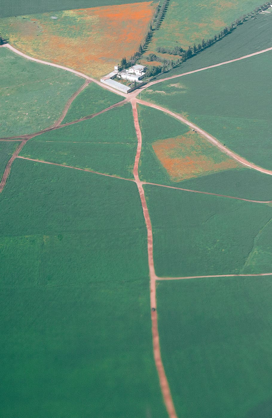 morocco, field, fields, path, summer, heat, tiny, house, village HD wallpaper
