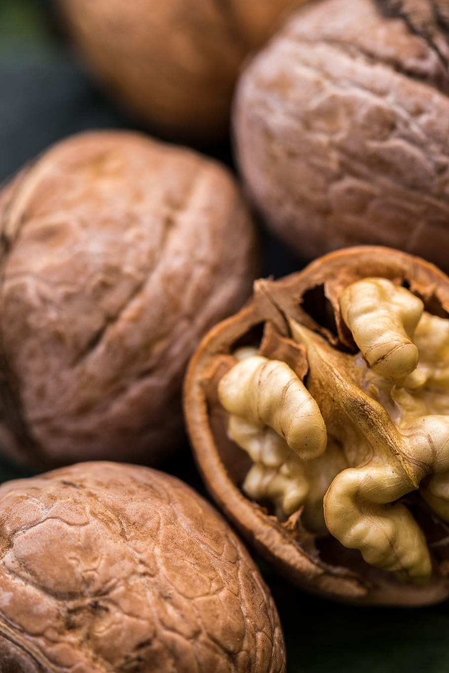 walnut, flora, nature, plant, close up, macro, fruit, delicious HD wallpaper