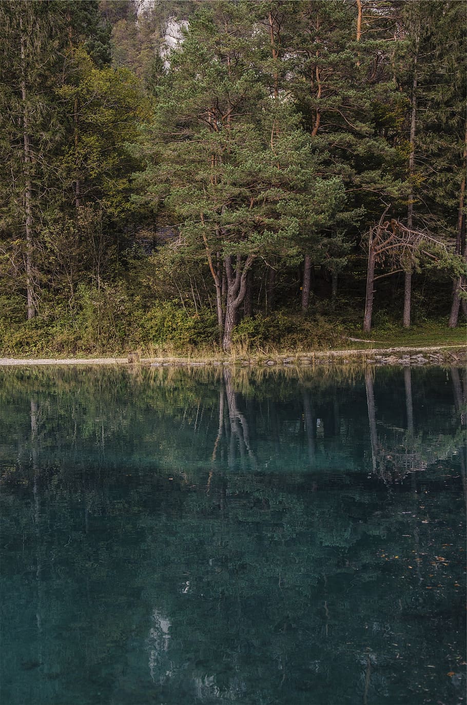 lake, water, reflection, trees, forest, nature, plant, tranquility HD wallpaper