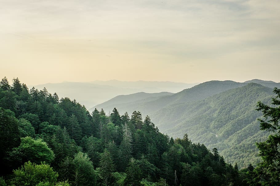 united states, great smoky mountains national park, landscape