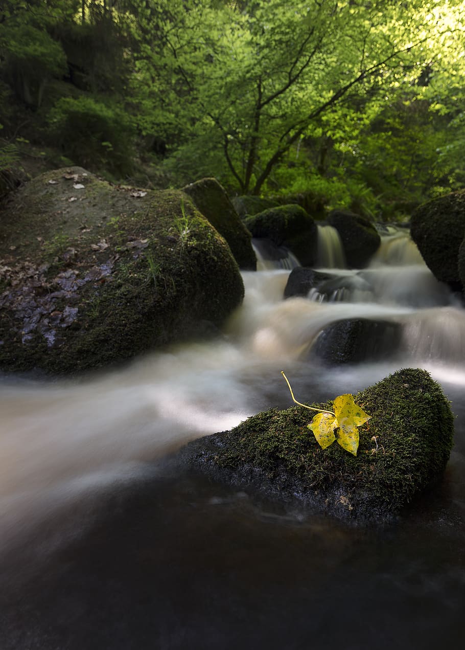 time laps waterfalls, forest, tree, stream, creek, outdoors, river HD wallpaper