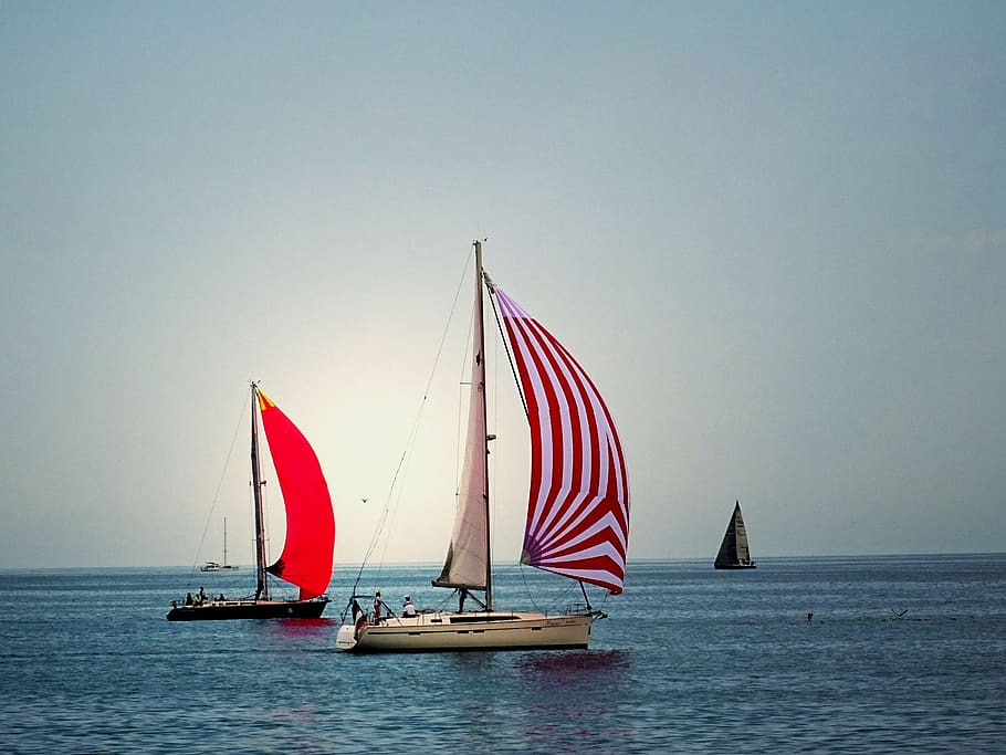 White and Red Cruiser Boats on Body of Water during Daytime, beach HD wallpaper