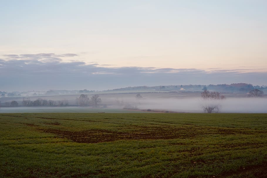 north essex, countryside, england, nature, landscape, winter, HD wallpaper