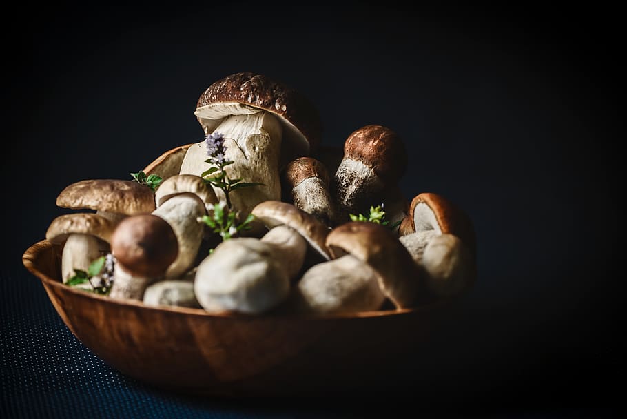 mushroom inside bowl with dim background, food, plant, vegetable HD wallpaper