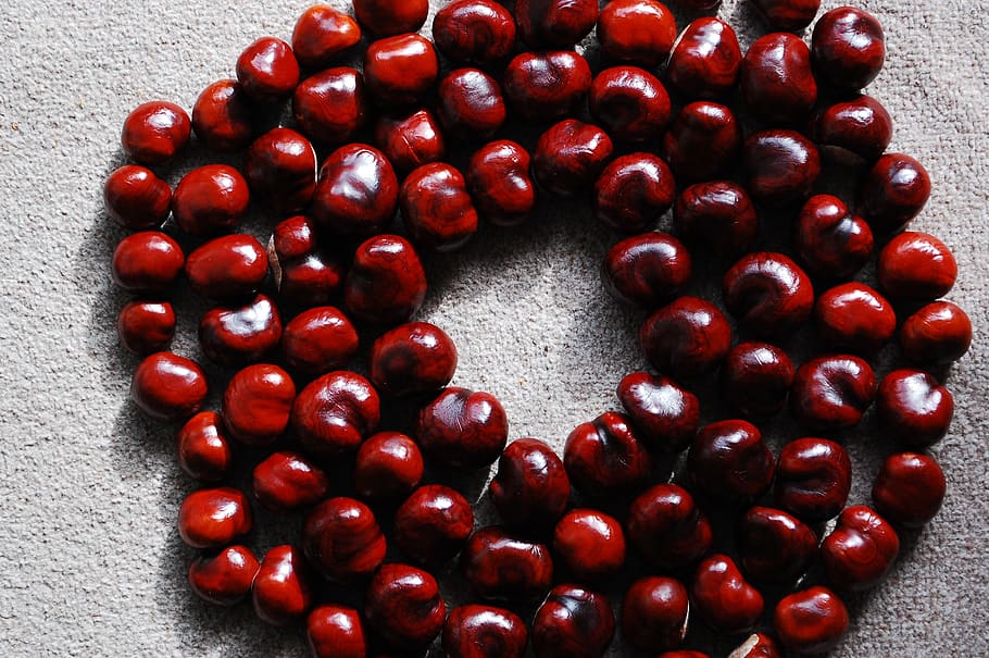 chestnut, nuts, district, still life, red, food and drink, freshness HD wallpaper