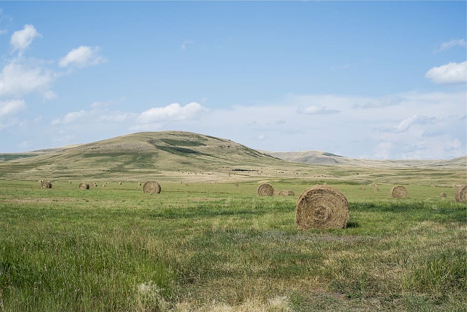 hay, bales, grass, fields, rural, country, blue, sky, landscape HD wallpaper