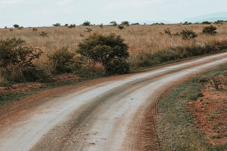 empty roadway near bushes, dirt road, gravel, outdoors, nature HD wallpaper