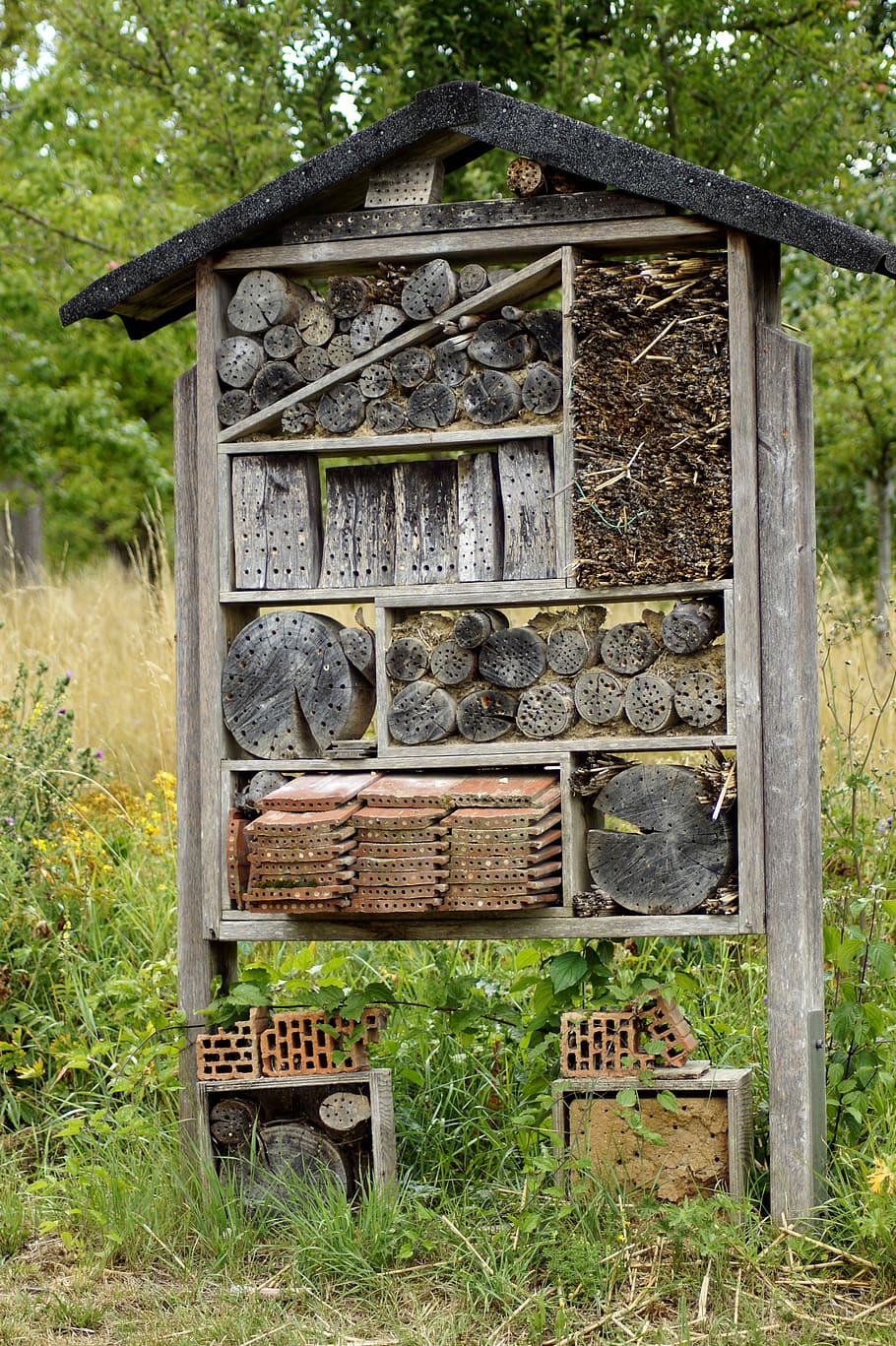 insect hotel, insect house, insect box, wood, insect protection measures HD wallpaper