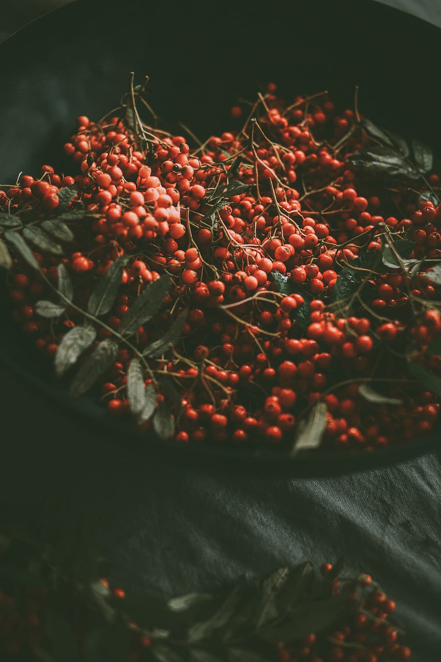 red cherries fruit, food, food and drink, healthy eating, freshness HD wallpaper