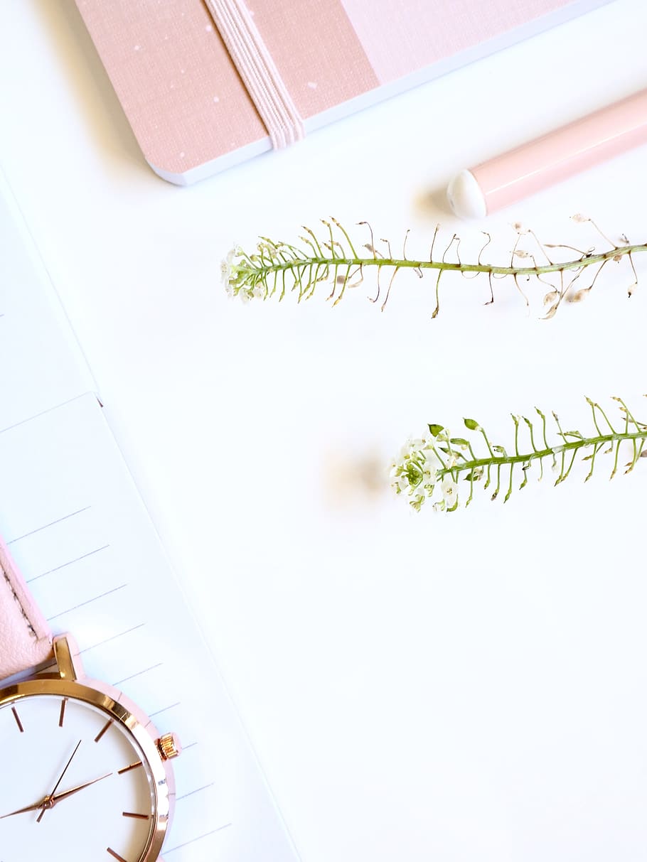 write, white space, flatlay, business, feminine, pink, simple HD wallpaper