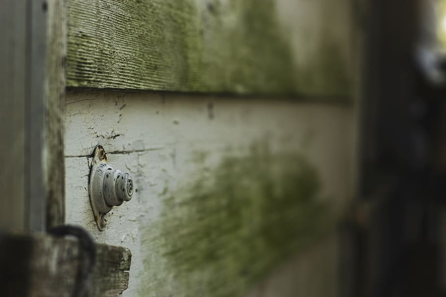 united states, oxford, moss, country, doorbell, wall, building, HD wallpaper