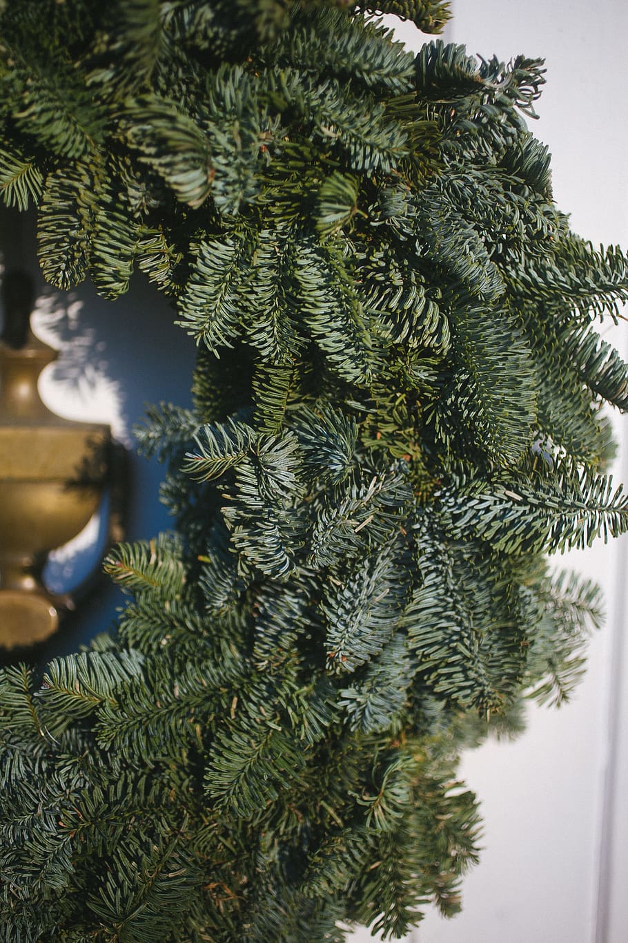 green christmas tree, seasonal, door, branch, wreath, plant, green color HD wallpaper