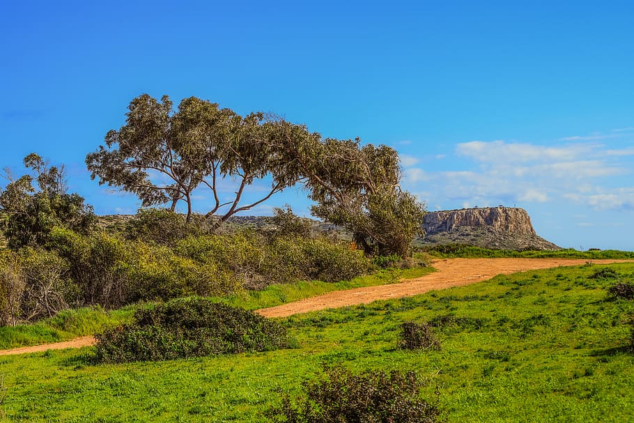 cyprus, cavo greko, dirt road, path, nature, tree, landscape HD wallpaper