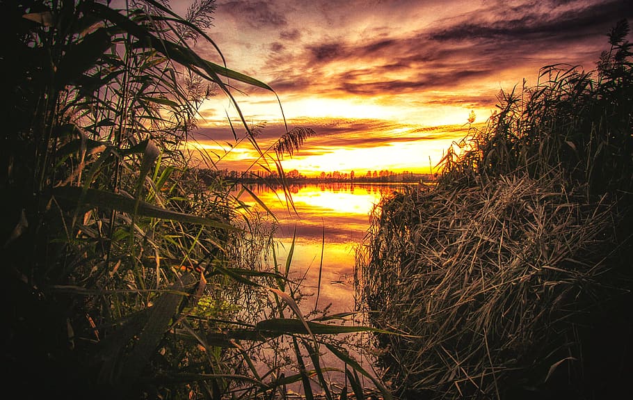 west, the sun, twilight, sky, clouds, red, landscape, the horizon HD wallpaper