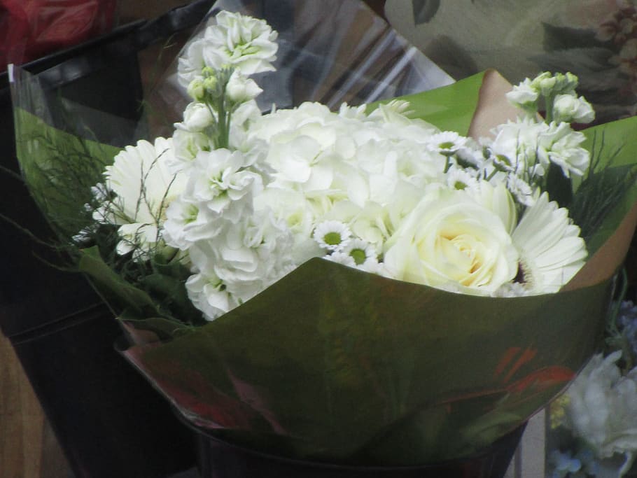 bouquet, flowers, white, flowering plant, beauty in nature HD wallpaper