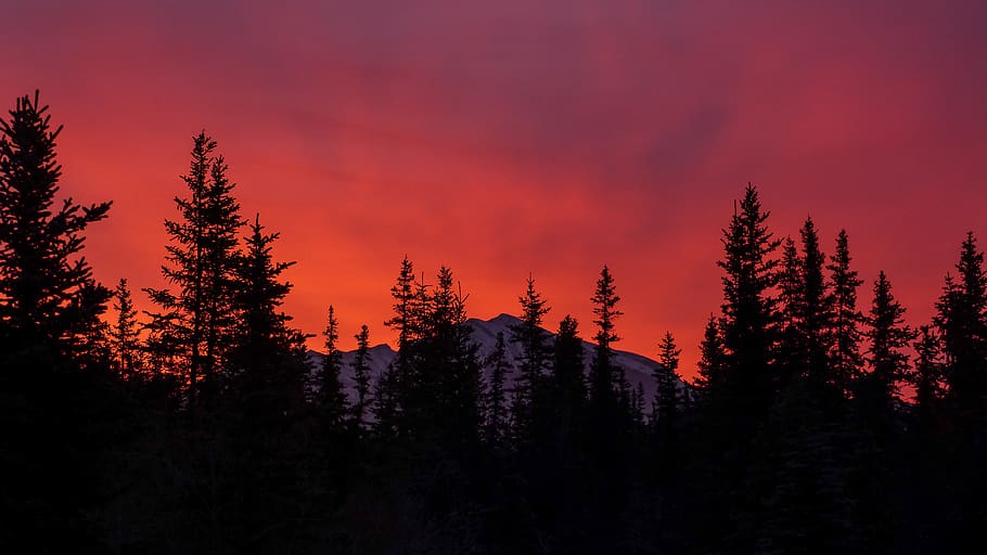 canada, canmore, orange, shadow, black, neon, bright, amazing HD wallpaper