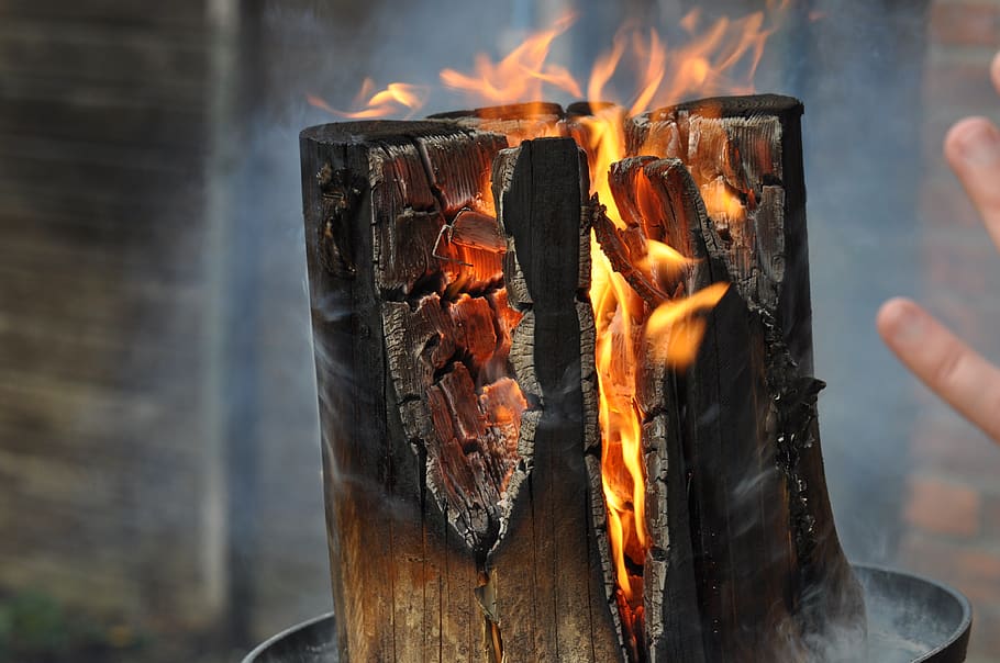 fire, heat, flame, light source, non, torch, tree, swedish HD wallpaper