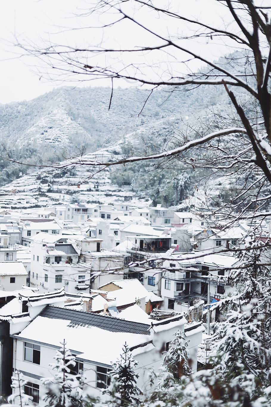 mountain covered by snow, winter, cold temperature, architecture HD wallpaper