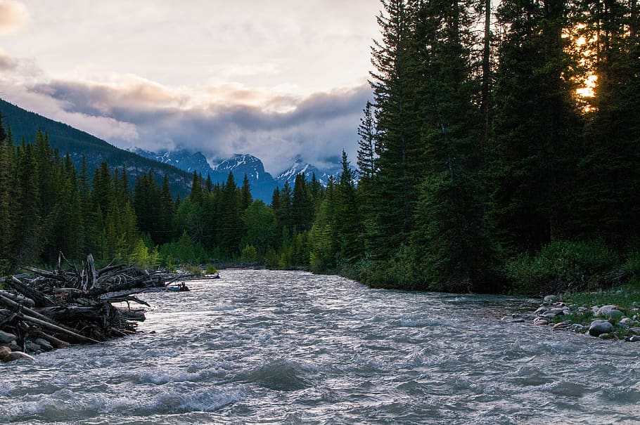 landscape, evening, travel, explore, sunset, alberta, camping HD wallpaper