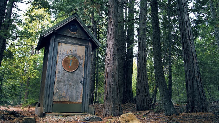 trees, forest, woods, nature, outhouse, rustic, wide angle