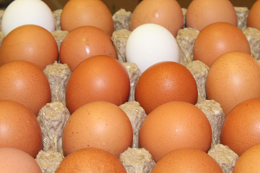 eggs, chicken, food, nutrition, easter, there are, spring, white HD wallpaper