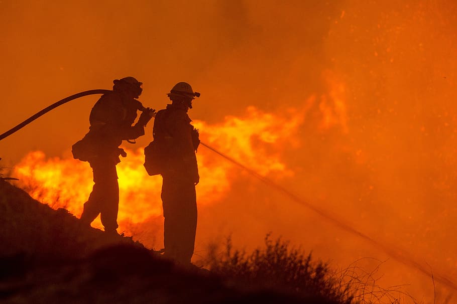 forest fire, hose, water, wildfire, blaze, silhouettes, firefighters