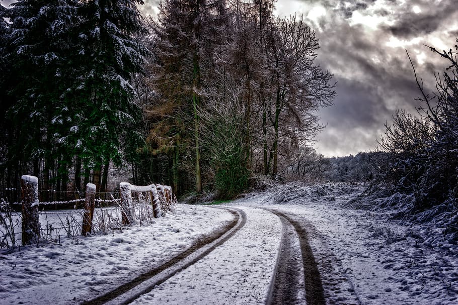 away, snow, trace, winter, trees, winter mood, snow lane, sky HD wallpaper