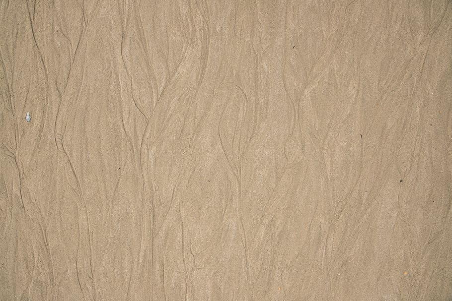brown surface, backgrounds, pattern, textured, wood, no people HD wallpaper