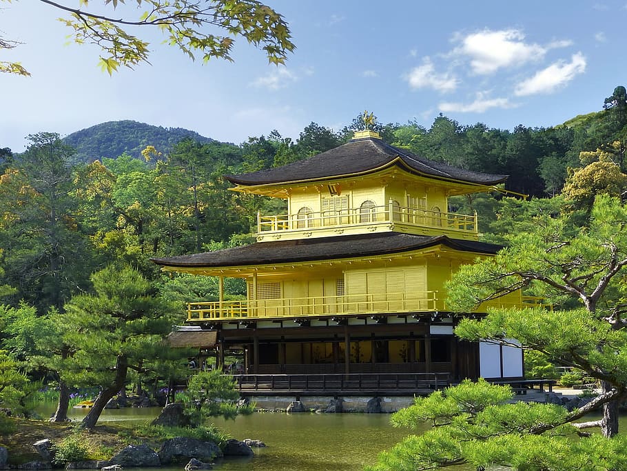 japan, construction, architecture, design, urban, tree, plant HD wallpaper