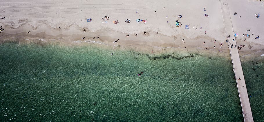 australia, coogee, coogee beach, drone, drone view, aerial view, HD wallpaper