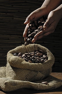 Coffee Bean on Human Hands and Sack, caffeine, coffee beans, human body part HD wallpaper