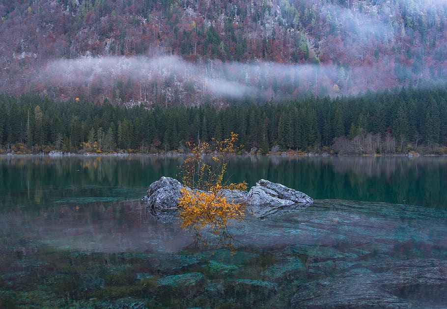 nature, landscape, mountain, trees, fog, river, lake, autumn HD wallpaper