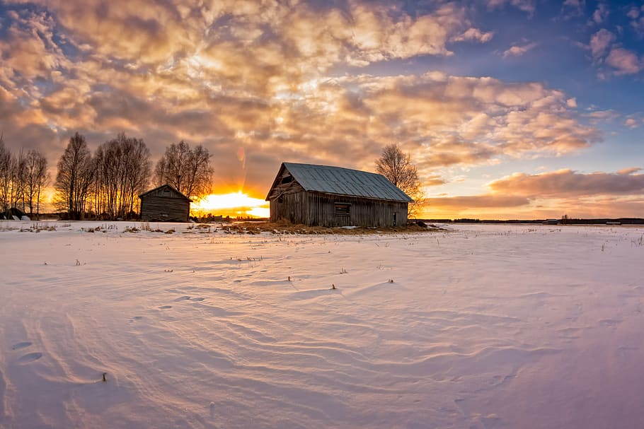 house surrounded with snow, winter, cold temperature, built structure HD wallpaper