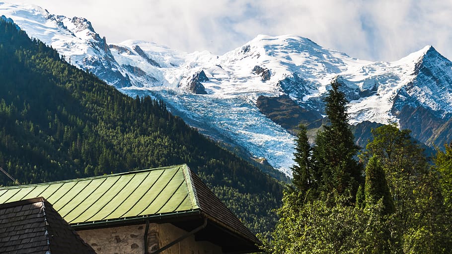 house surrounded by trees, nature, outdoors, mountain, ice, plant HD wallpaper