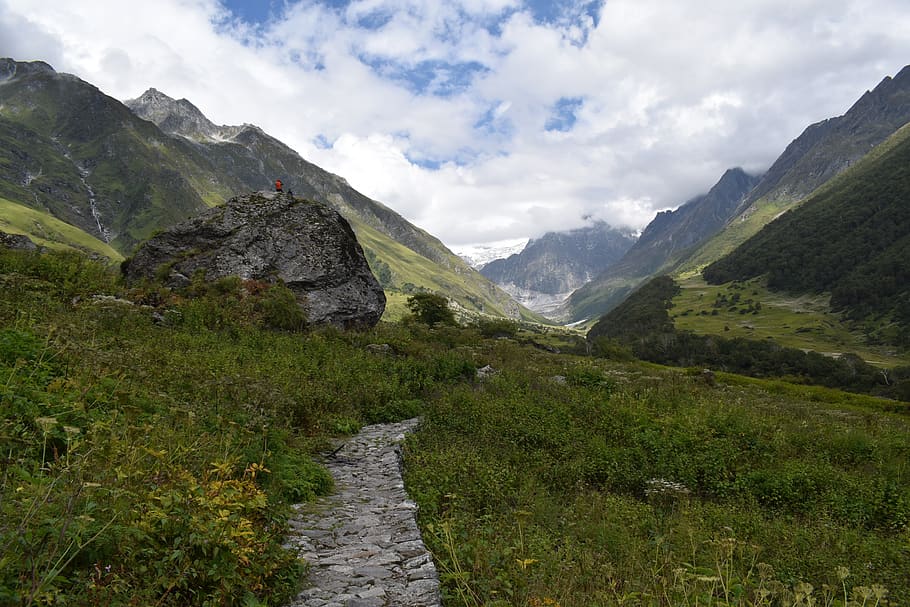 huge stone, valley, flower, uttarakhand, nature, landscape, HD wallpaper