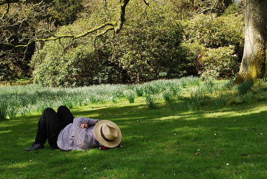 man, laid back, summer, hat, daffodils, leisure, person, peaceful HD wallpaper