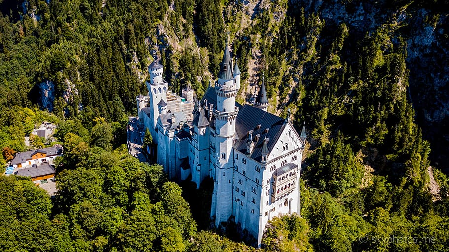 neuschwanstein, castle, drone, tree, plant, architecture, building exterior, HD wallpaper