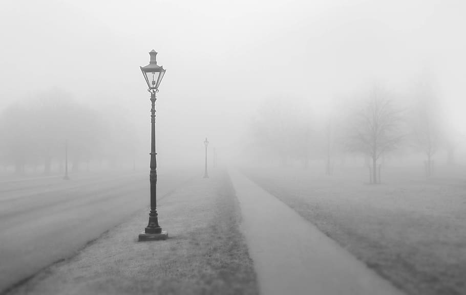 way, path, lanterns, street, lights, road, outdoor, park, fog HD wallpaper